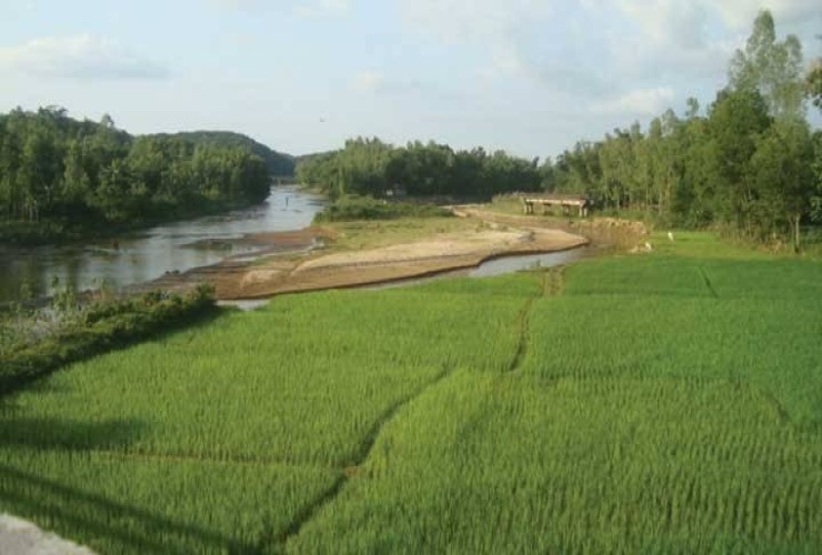 শ্রীবরদীর হাড়িয়াকোনা গ্রাম যেন সবুজের গালিচা